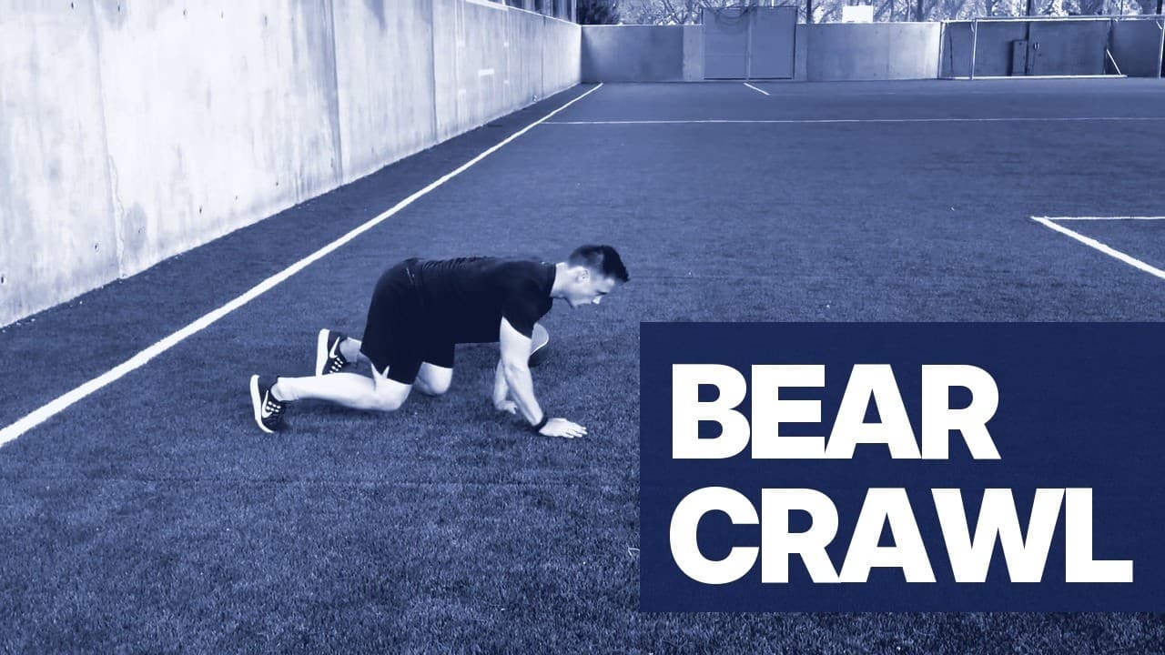 Le Bear Crawl : Un Exercice Complet pour Renforcer votre Corps