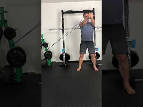 Maîtriser le Pallof-Press et ses Variations pour un Gainage Efficace