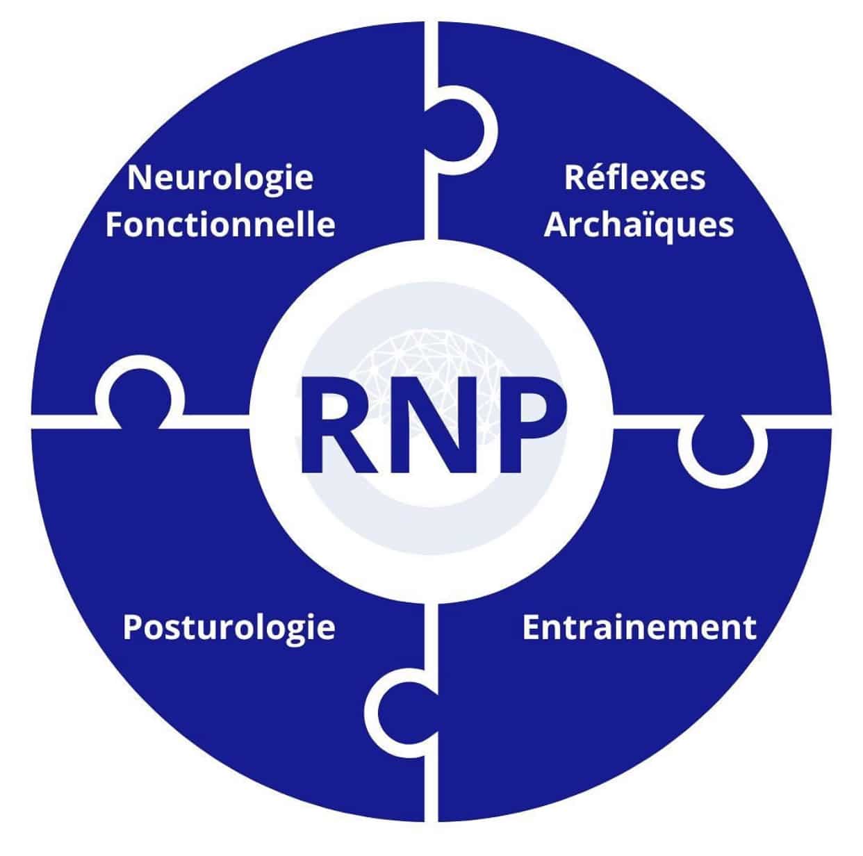 Optimisation du Mouvement : Maîtriser la Reprogrammation Neuroposturale pour une Performance Sportive Maximale